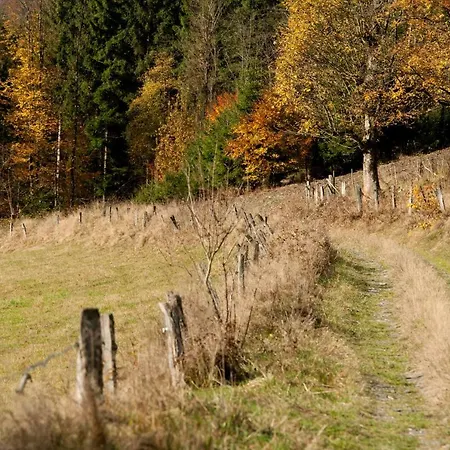 Hightop * Winterberg